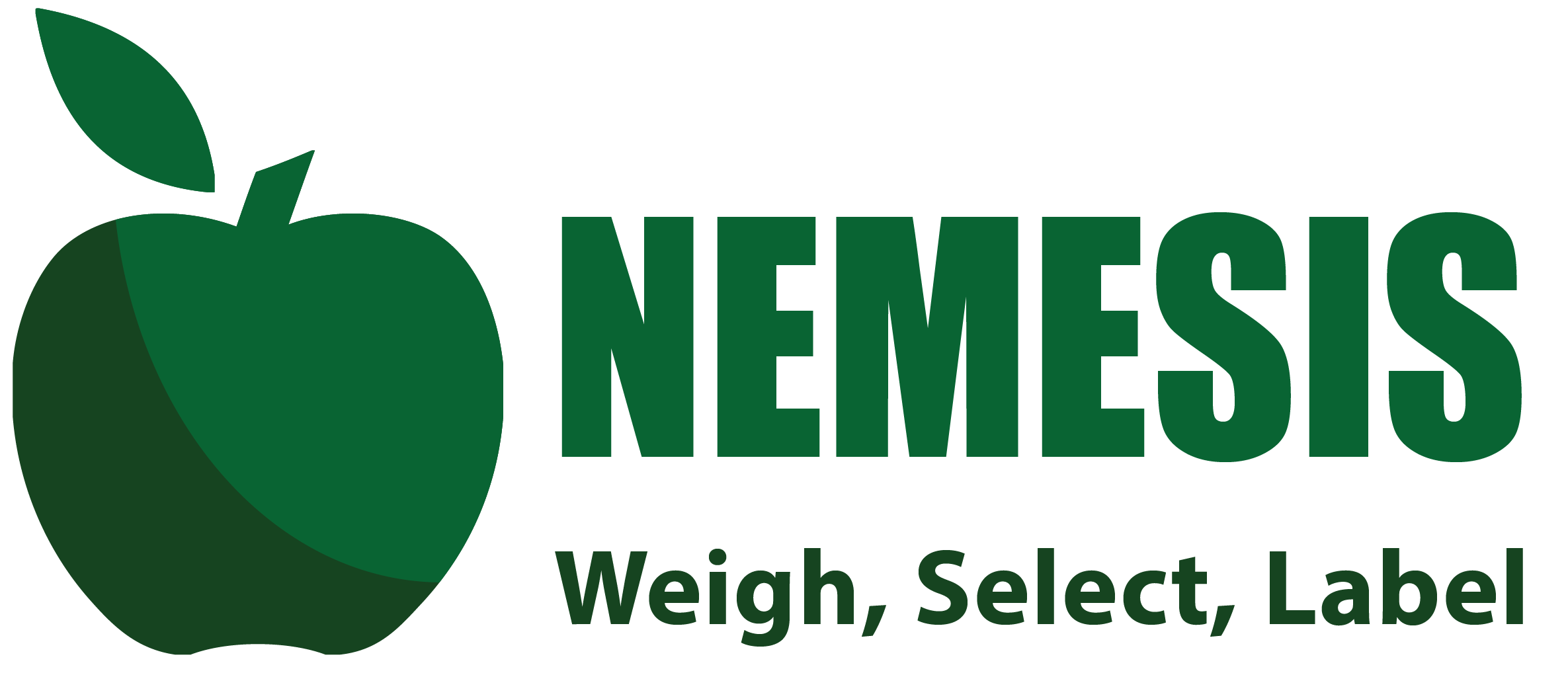 Company name